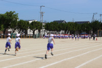 IMG_6155