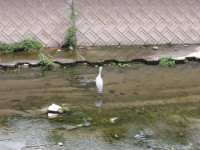 IMGP0193