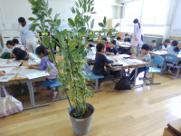 WIN_20260511_11_09_11_Pro