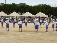 IMGP0653