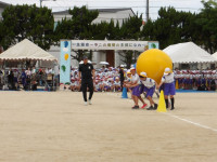 IMGP0694