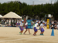 IMGP0734