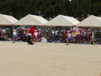 IMGP0660