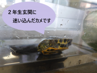 1IMGP0016