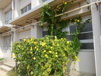 IMGP0010