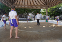DSC03244