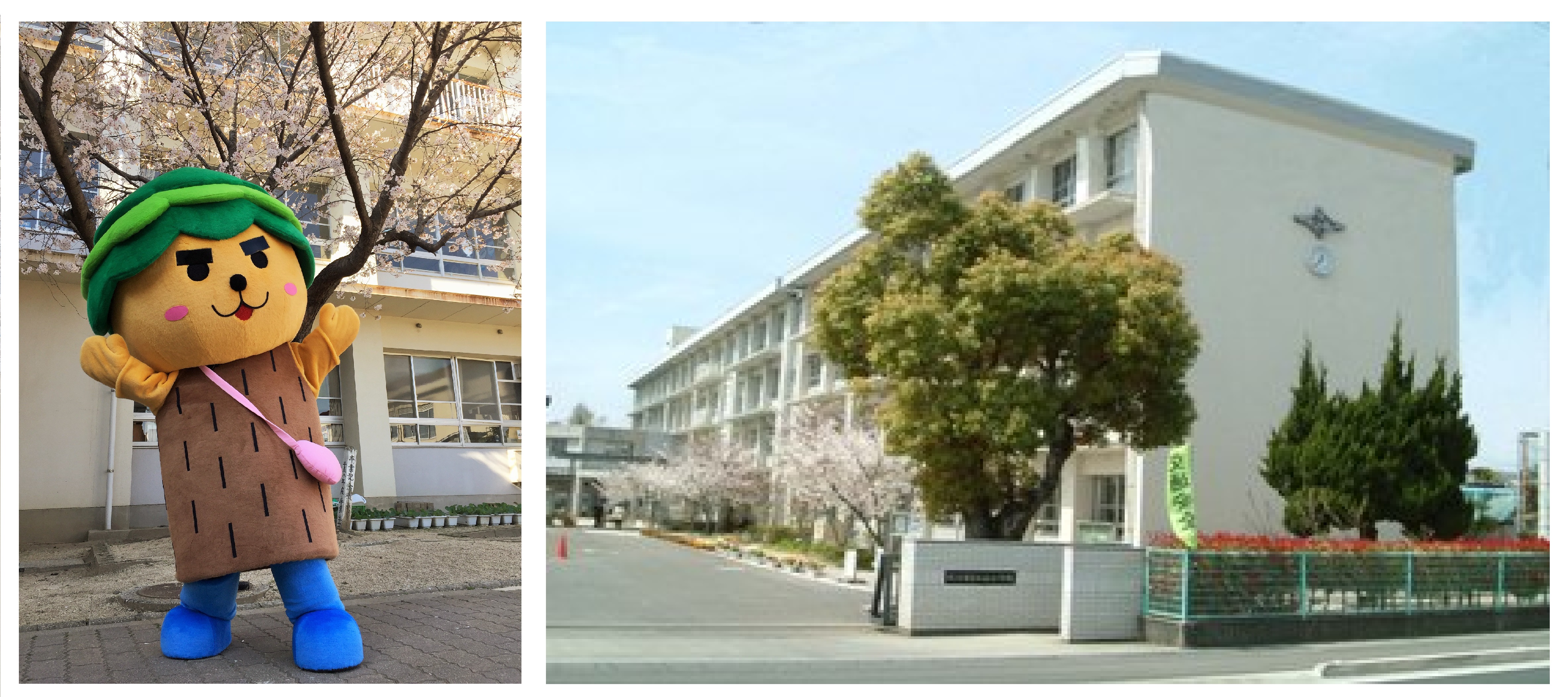 校舎とくすのっきー