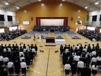 IMGP0518